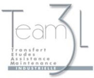 team3l1